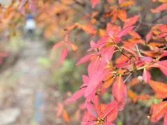 -野三坡百草畔景区