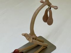 -胶囊画廊