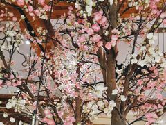 -蜜桃餐厅·伴山(湖滨商业街店)