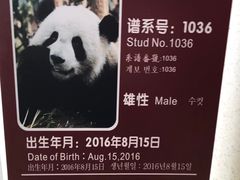 -五龙山野生动物王国