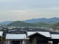 -大唐贡茶院