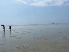 -北海金海湾红树林生态旅游区