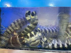 -富来美食(成发大厦店)