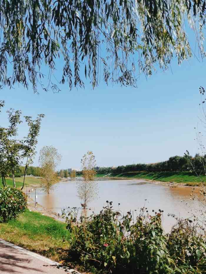 洨河生态公园-"冬日的洨河生态公园多了些许苍凉,草木枯萎.