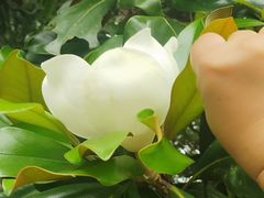 -花溪雨·森林餐厅(石基店)