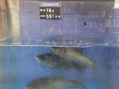 -香山湖渔家大院