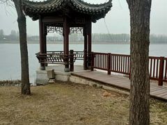 -呷哺呷哺 黄金牧场 (枣强吉美购物广场店)