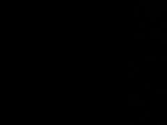 -赵记煎饼卷大葱(东岳店)