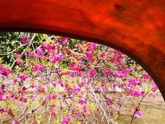 -南汇桃花村