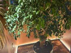 -霖公馆SPA·足道(普善路店)