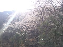 -碓臼峪自然风景区