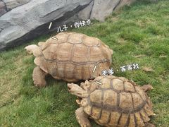 -无锡动物园·太湖欢乐园