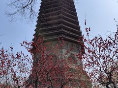 -玲珑塔公园