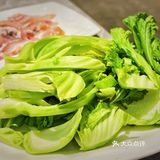 凯达·吃鲨鱼的鱼