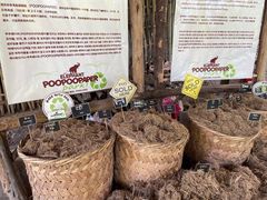 -大象粑粑造纸公园