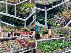 -KKV(深圳宏发大仟里店)