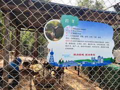 -青藏高原野生动物园