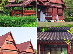 -东莞植物园