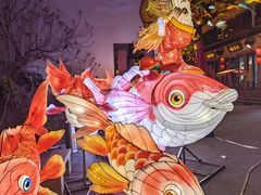 -花博汇(知音花月夜)