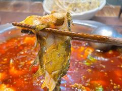 -青山青豆花·笑禅豆腐鱼(黄泥塝店)