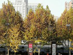 -西西弗书店(城西银泰城店)