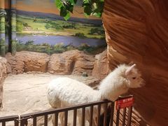 -绿色星球动物主题公园