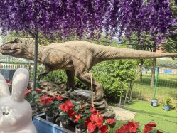 点击看大图 -萌宠亲子动物乐园(槐房万达店)