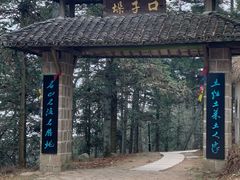 -莫干山风景区