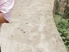 -碓臼峪自然风景区