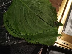 -新石器烤肉(中房金谊广场店)