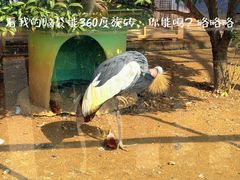 -无锡动物园·太湖欢乐园