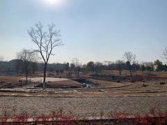 -盘龙城国家考古遗址公园