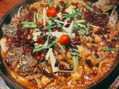 老板恋上鱼-老板恋上鱼(高新万达店)