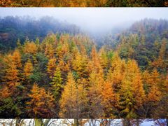 -光雾山旅游景区