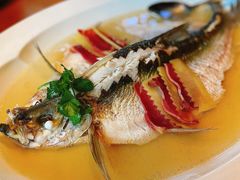-宁波柏悦酒店·钱湖渔港