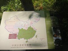 -中国茶叶博物馆(双峰馆区)