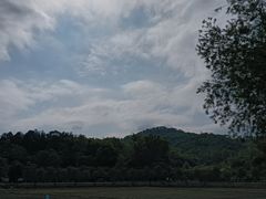 -红山村