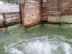 -春晖园度假酒店温泉