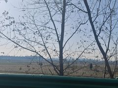 -涵家味土菜馆·徽州一绝臭鳜鱼(三河古镇店)