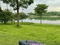 -北龙湖湿地公园