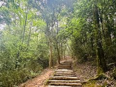 -西湖风景区十里琅珰-五云山