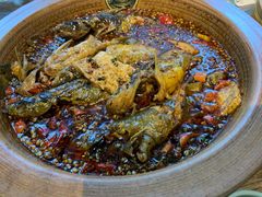 香辣黄辣丁-呱呱叫民俗风味主题餐厅(沣峪口店)