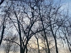 -汉长安城未央宫国家考古遗址公园