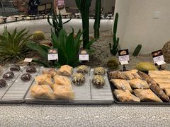 -OUR Bakery(SKP-S店)