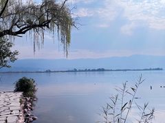 -西昌邛海湿地