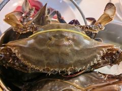 -九月海·海鲜自助(世纪东方店)