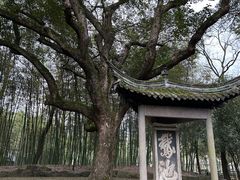 -兰亭风景区