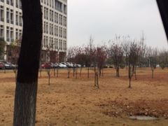 -扬州大学(扬子津校区)