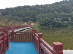 -黄埔油麻山森林公园