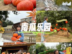 -HERRE·FARM 赫尔露营农场·团建聚会包场